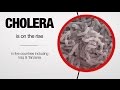 Global :60 - Cholera, Chinese peace prize, and New Delhi traffic
