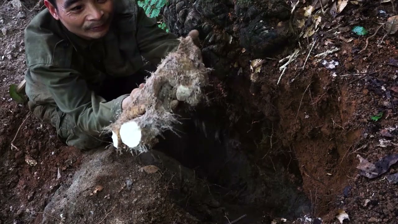 The most complete meal from wild edible roots | 365 Days of Survival in the Deep Forest | Episode 5