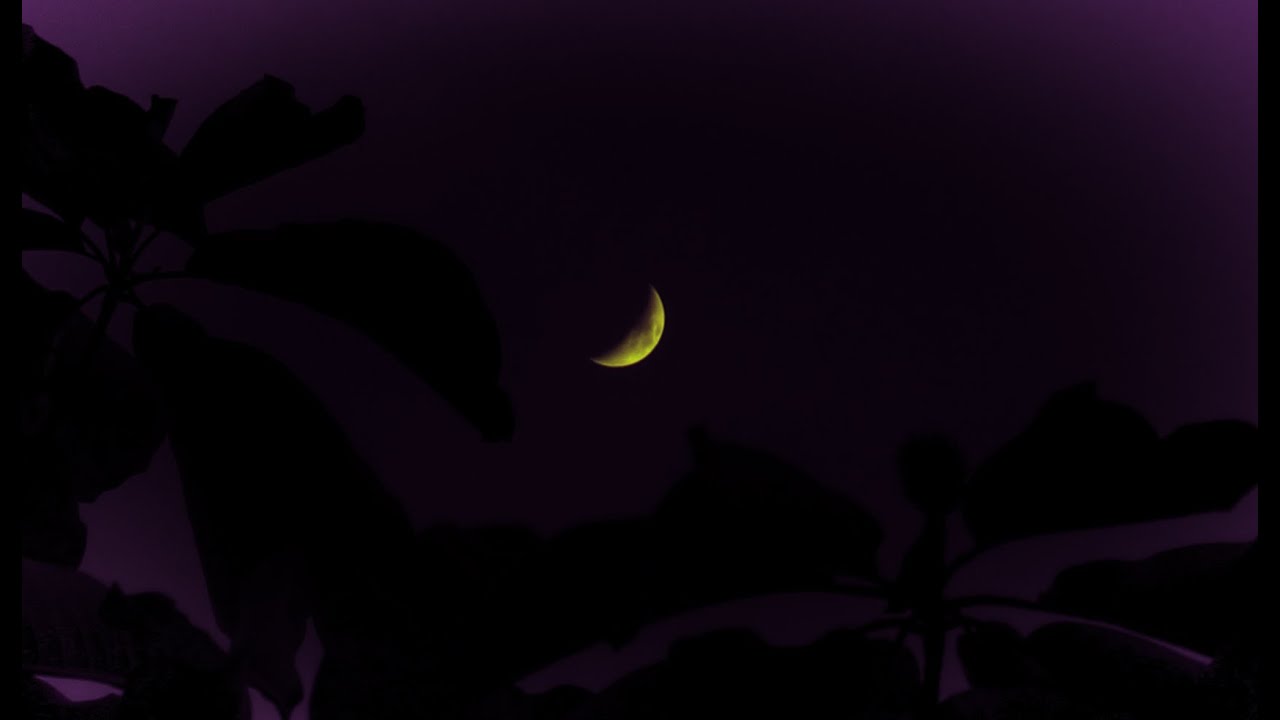 IU-Love poem by Vini (without music)