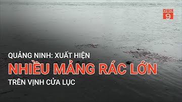 QUẢNG NINH: XUẤT HIỆN NHIỀU MẢNG RÁC LỚN TRÊN VỊNH CỬA LỤC | VTC9