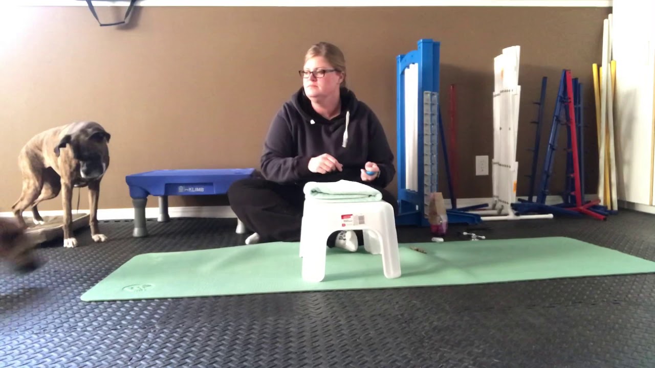 Bryn Cooperative Care (chin rest & stethoscope) YouTube