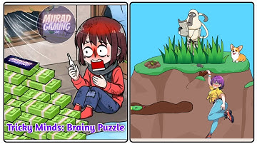 Tricky Minds Brainy Puzzle Level 37: Gameplay Solution