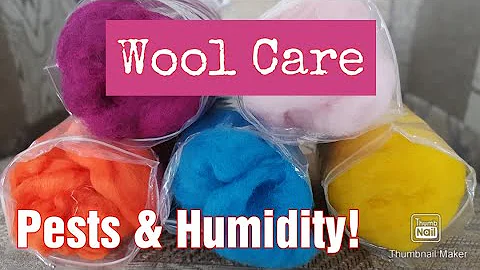 Are You Storing Your Wool Correctly? | How To Avoi...