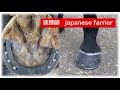 装蹄師　japanese farrier 装蹄　削蹄