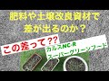 【芝生床土】カルスNC-R ‼️床土ブレンド・肥料スーパーグリーンフードの使用での比較