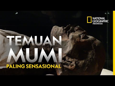 PENEMUAN MUMI MISTERIUS DI MESIR, ADA YANG HAMIL HINGGA BERLIDAH EMAS.