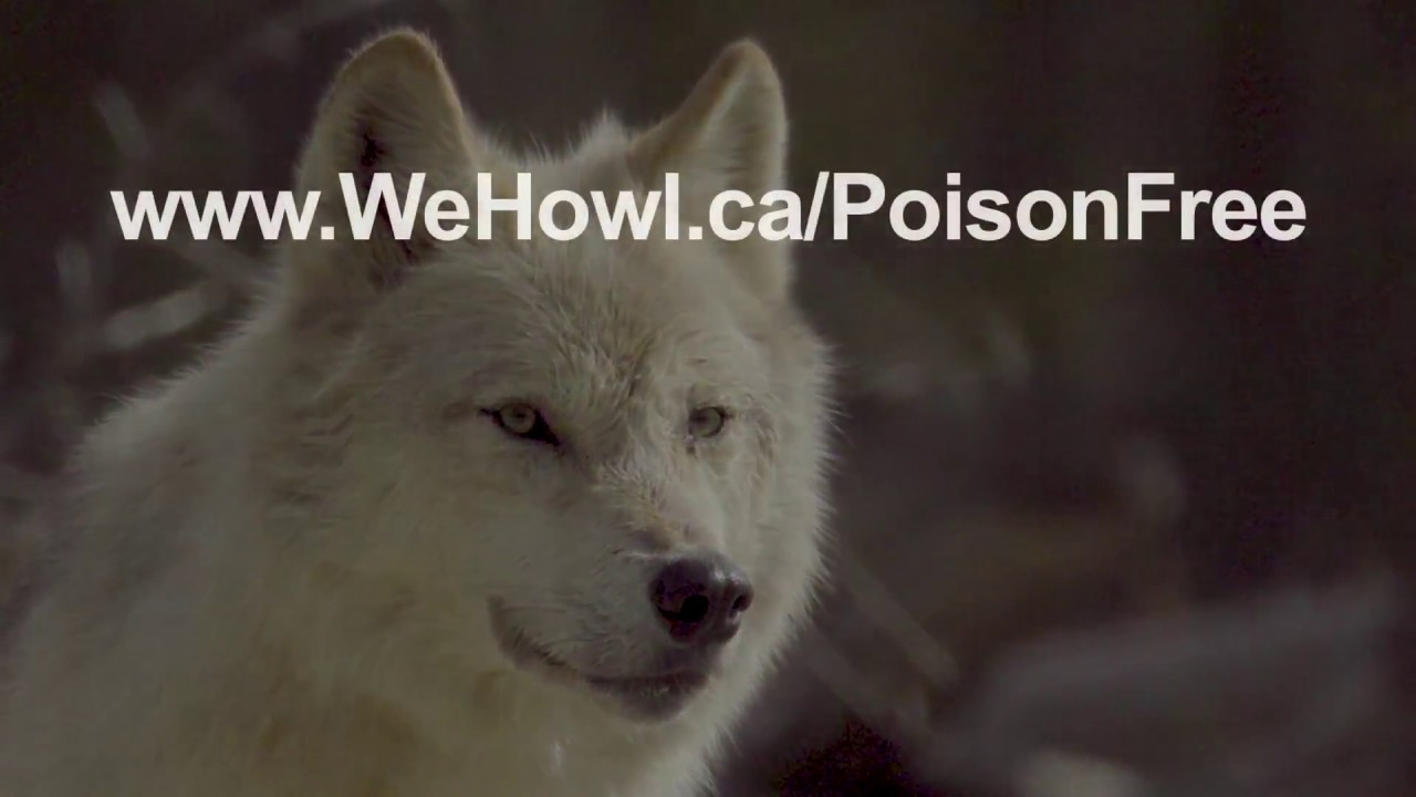 PoisonFree