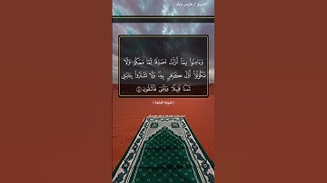 لا إله إلا الله  سورة: البقرة _القارئ: فارس عباد