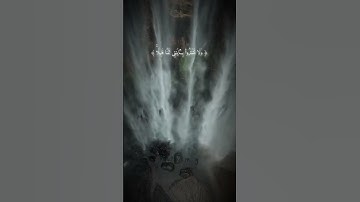 🌸🌸القرآن الكريم سورة المائدة الآية 44 #القرآن_الكريم #سورة_المائدة