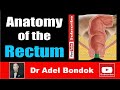 Anatomy of the Rectum, Dr Adel Bondok Making Anatomy Easy