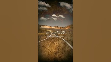 تلاوة هادئة بصوت الشيخ ياسر الدوسري 🥰 أكتب شي تؤجر عليه ❤️
