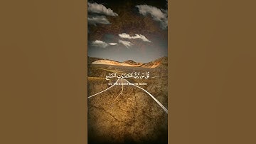 تلاوة هادئة بصوت الشيخ ياسر الدوسري 🥰 أكتب شي تؤجر عليه ❤️