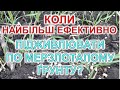 Коли підживлювати по мерзлоталому грунту найбільш ефективно?