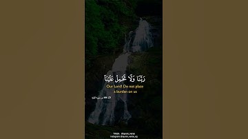 لا يكلف الله نفسا الا وسعها || القارئ فارس عباد