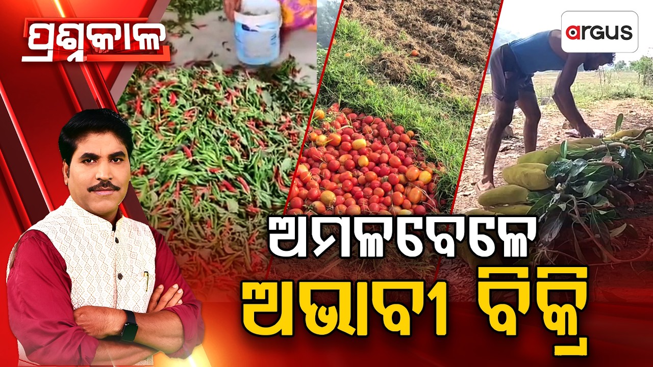 Prashnakala : ଅମଳ ବେଳେ ଅଭାବୀ ବିକ୍ରି | Distress Sale | Vegetable Farmer | Argus News | Odisha News
