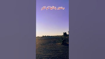 قران كريم تلاوه هادئة تريح القلب