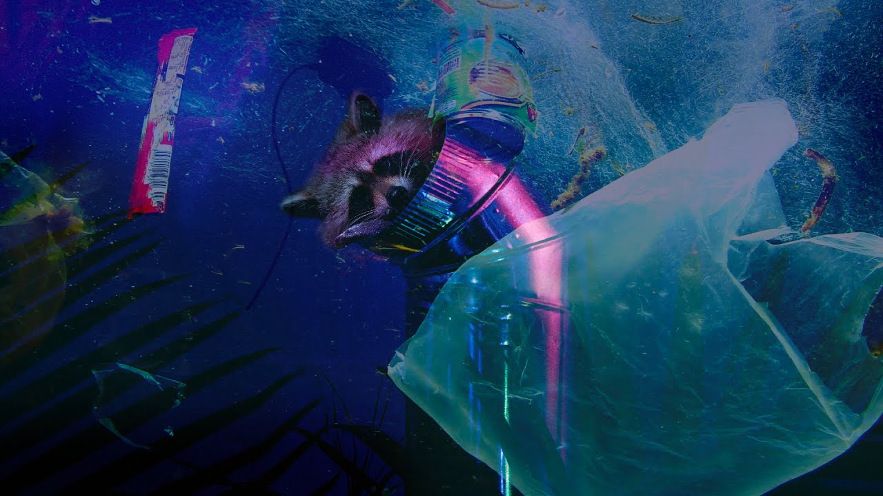 Find Me – thumbnail officielle