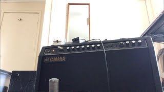 Yamaha Hundred B212 G100B 212