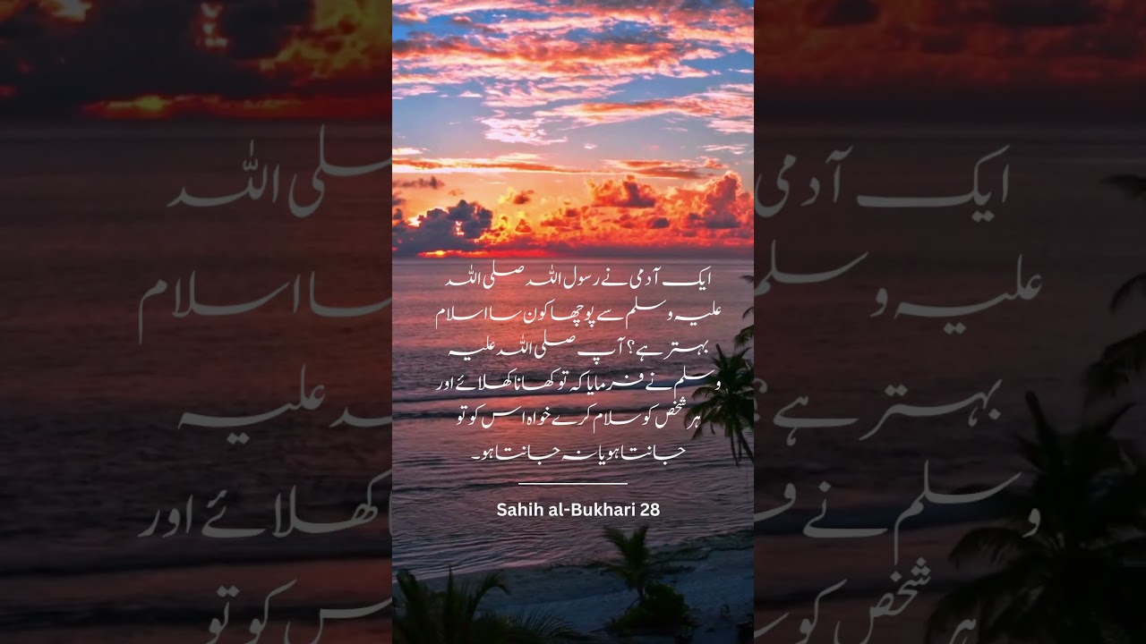 Explore the 28th volume of Sahih al-Bukhari in Urdu - Riz App Studio #islam #islamicstatus