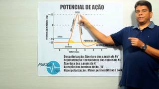 Potencial de Ação - Fisiologia Fácil