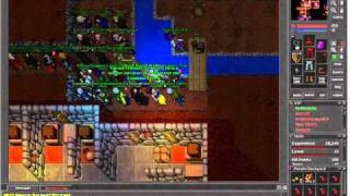 Archenko master zanera tibia