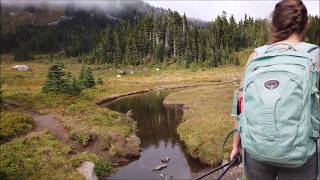 Spray Park Trail - Spray Falls - Bears! - Mountain Rainier National Park