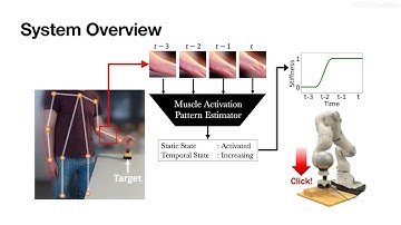Vision-based Approximate Estimation of Muscle Activation Patterns for Tele-Impedance