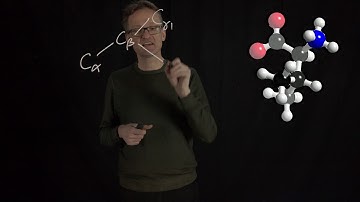 Lecture 05, concept 11: Larger & hydrophobic side chains