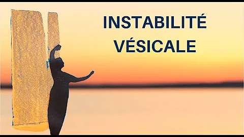 L'Instabilit Vsicale et le Prine
