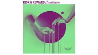Premiere: Mallinder - Risk & Reward