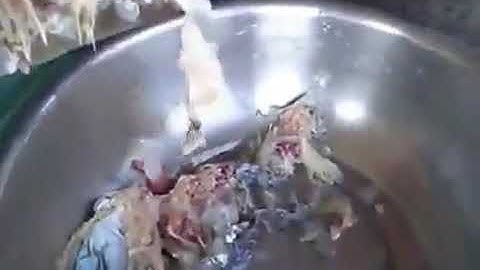 máy ép xương cá làm chả, máy tách cá rô phi, máy tách cá mè dinh, máy tách cá thác lac CR300