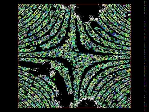 Ecosim: an artificial life predator-prey ecosystem with star distribution of grass