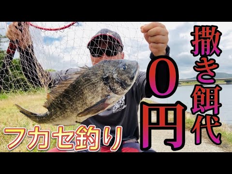 チヌフカセ 撒き餌は無料 Youtube