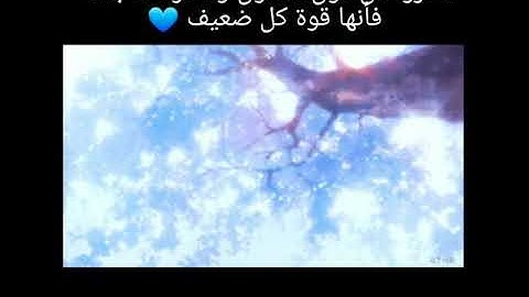 سورة الضحى للقارئ مشاري العفاسي 💛تلاوة هادئة