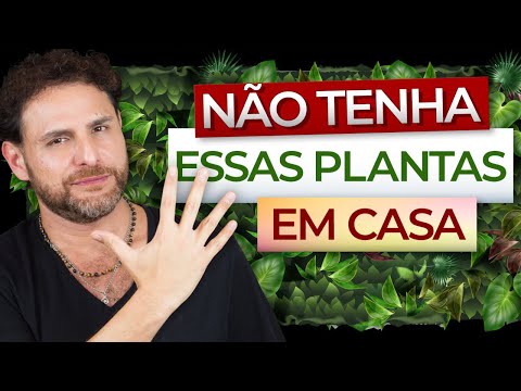 Vídeo: Cuidados com plantas de abacaxi - Como cultivar plantas de abacaxi em ambientes fechados e no jardim