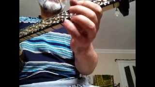 Acem Kızı - Bağlama - N. Aksu