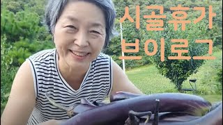 [ 시골휴가 브이로그] 춘천 시골집에서의 휴가 |  운동 | 막국수 |  옥수수 따기 | 소소한 시골밥상