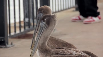 VIC 3001 Module 2 Exercise