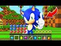 How to play SONIC THE HEDGEHOG in Minecraft! Challenge Battle NOOB VS PRO Funny Animation Real Life