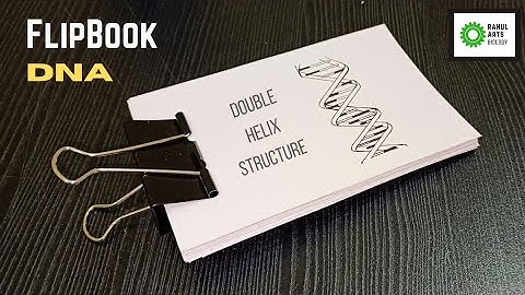 Flipbook - DNA Double helix structure : How to draw