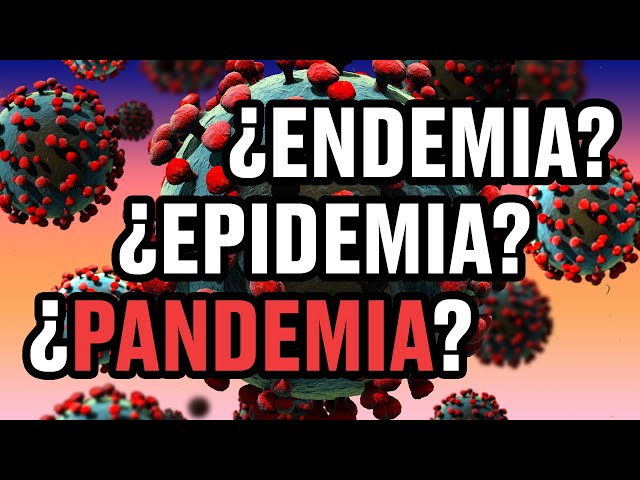 Pandemia Epidemia Y Endemia Conoce Las Diferencias Y Ejemplos Youtube