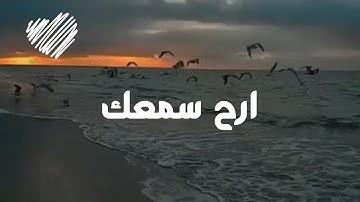 سورة القصص (حالات واتساب دينية) | القارئ اسلام صبحي