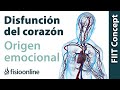 Origen emocional de la disfunción del corazón y sistema cardio circulatorio