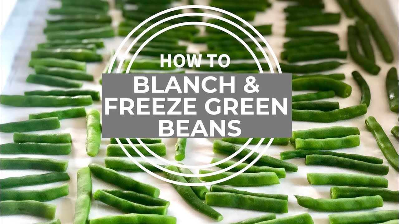 How To Blanch And Freeze Green Beans | Frugal Food Ideas - Youtube