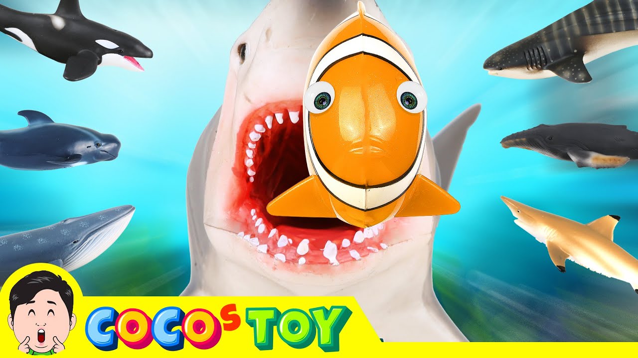 Выращиваем акул и китовㅣмультики о морских животных для детейㅣCoCosToy