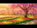 No Ads Spring Bloom Music Therapy For Calm Nerves Inner Peace Soothe Stress Relax Deeply 