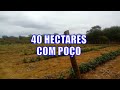 R$ 35 MIL TERRENO PARA FAZENDA 40 HECTARES COM ELETRICIDADE E POÇO ESCRITURA PÚBLICA