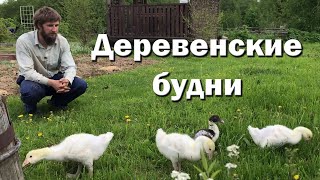 Новый огород и текущие дела.