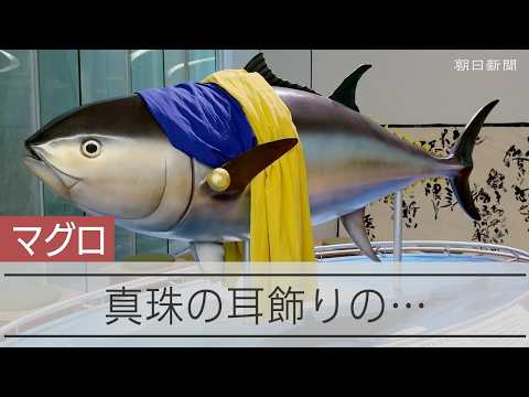 Girl with a Pearl Earring... Tuna on Display at Kindai University