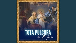 Tota pulchra es Maria